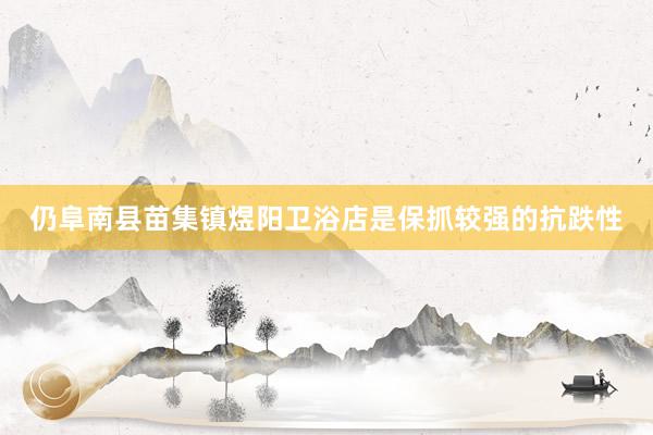 仍阜南县苗集镇煜阳卫浴店是保抓较强的抗跌性